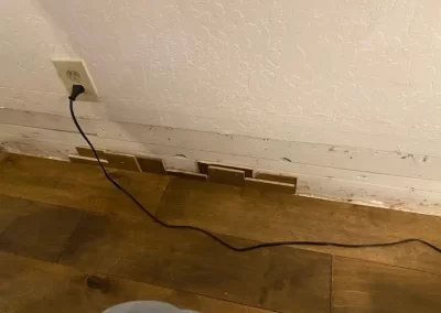 Professional Construction Services